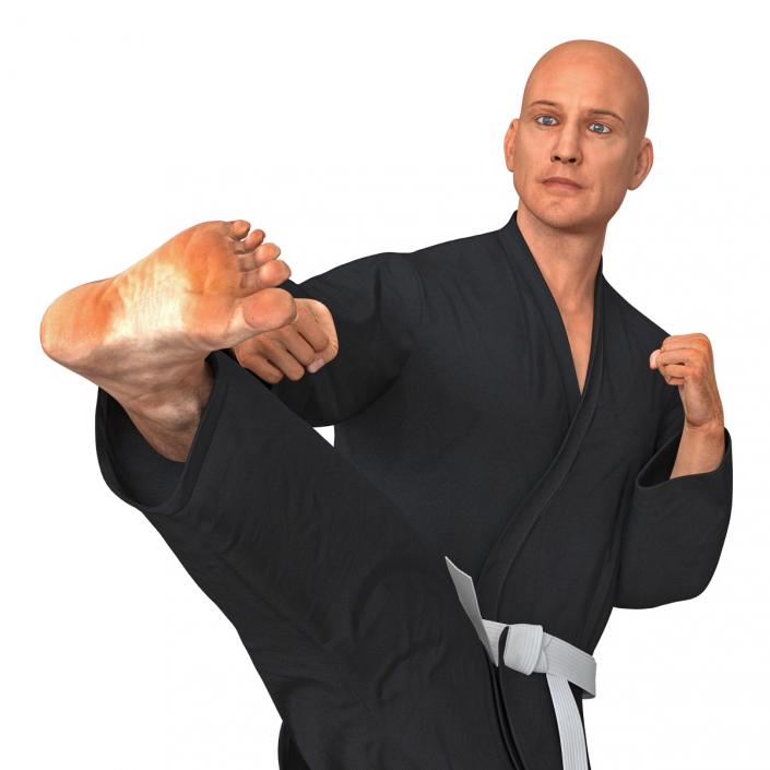 Karate Fighter Pose 2 Black Suit 3D
