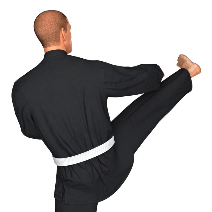 3D Karate Fighter Pose 2 Black Suit with Fur