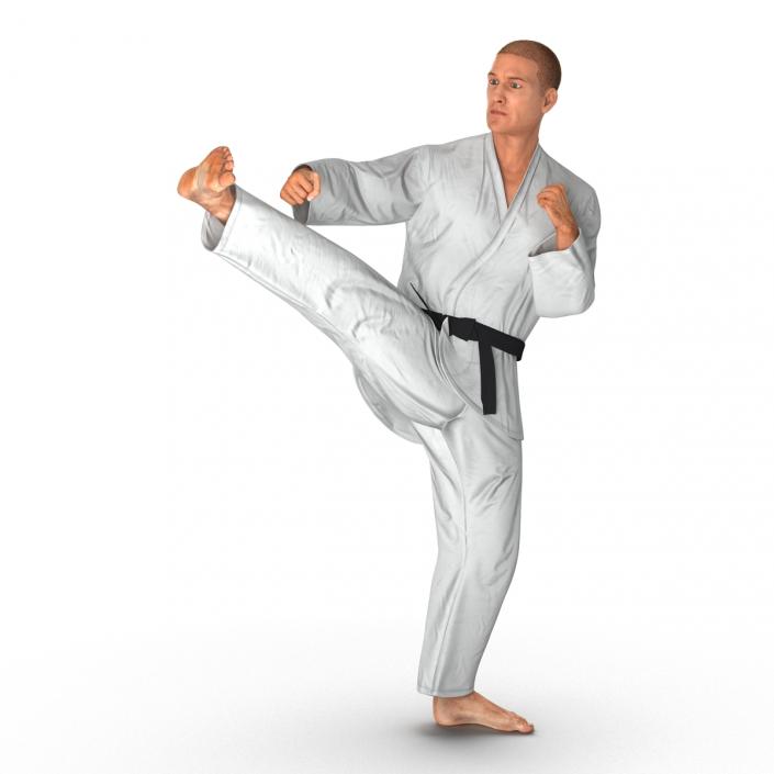 3D model Karate Fighter Pose 2 with Fur