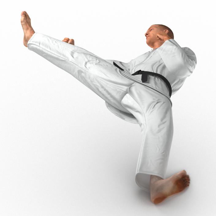 3D model Karate Fighter Pose 2 with Fur