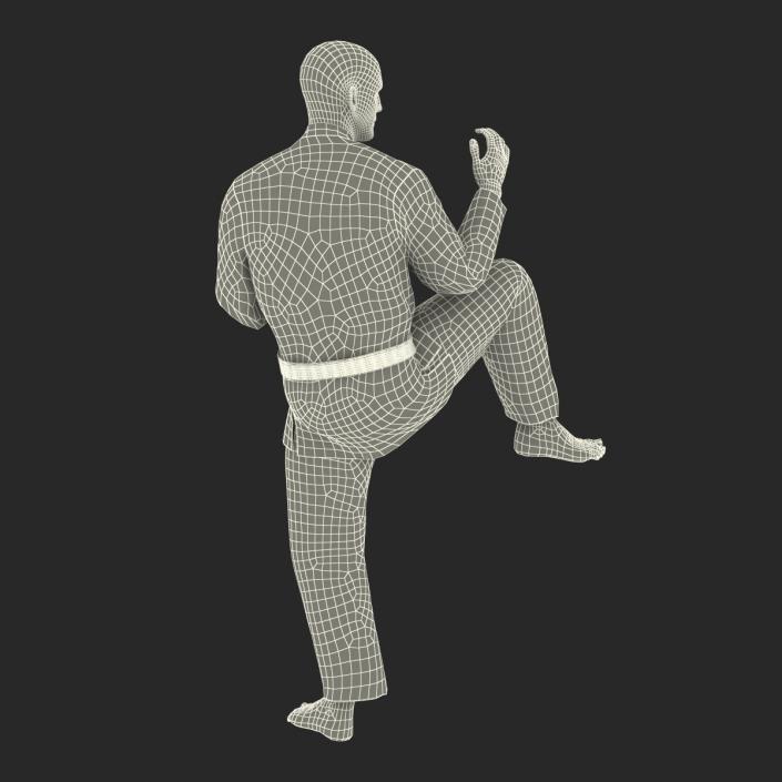 3D Karate Fighter Pose 3 Black Suit with Fur