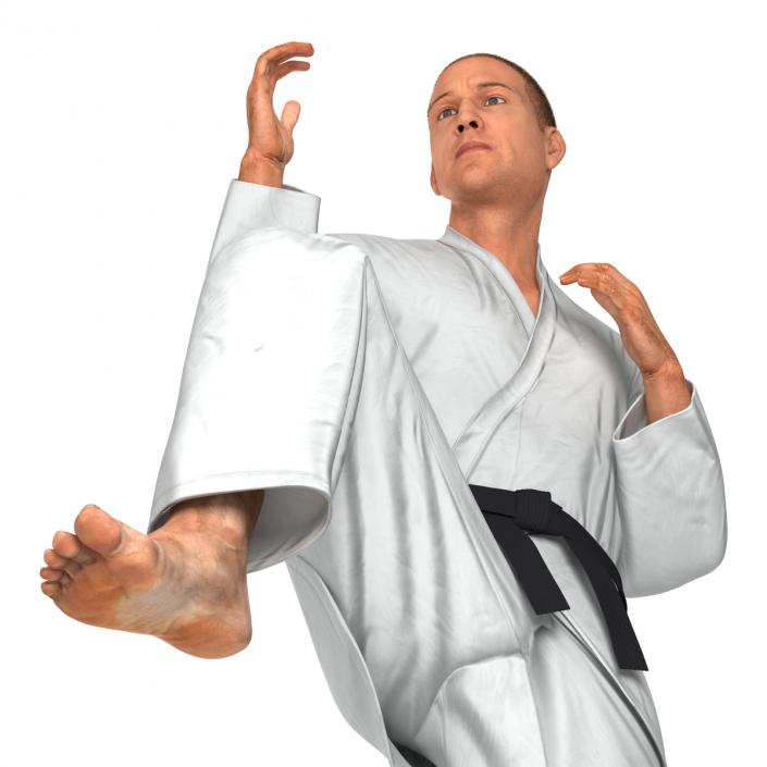 3D model Karate Fighter Pose 3 with Fur