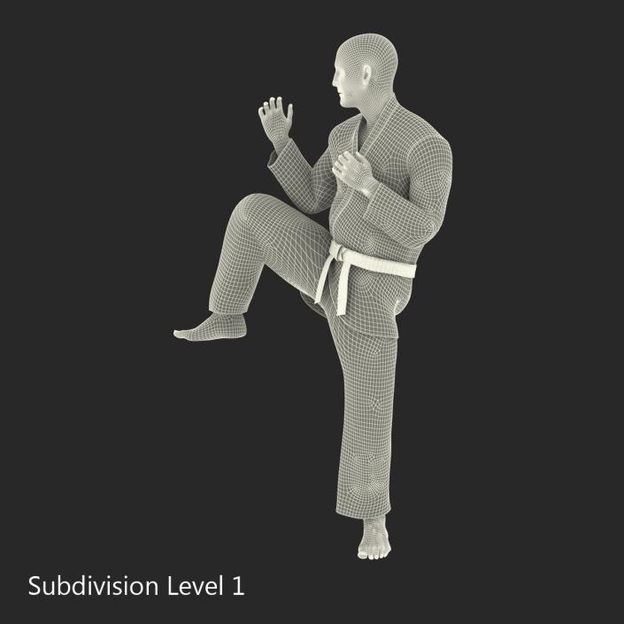 3D model Karate Fighter Pose 3 with Fur