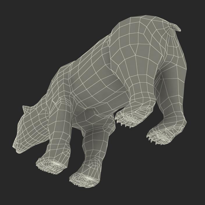 Polar Bear Rigged 3D