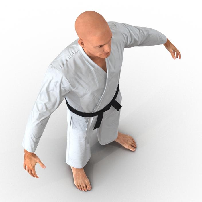 3D Rigged Karate Fighters Collection model