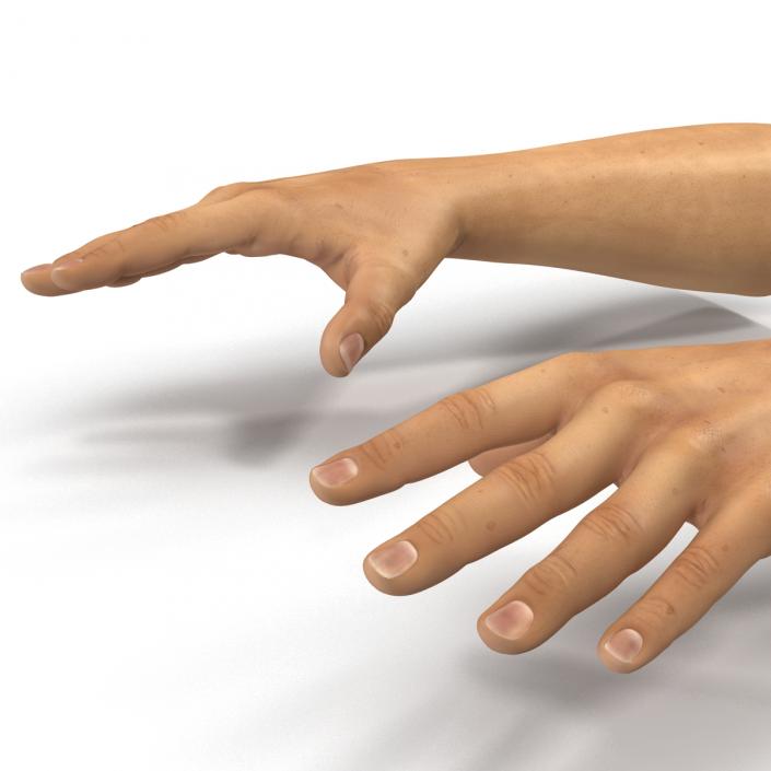 3D Man Hands 2
