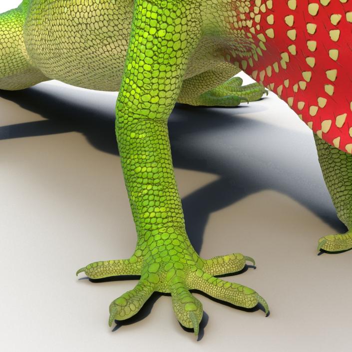 3D Carolina Anole Lizard Rigged model
