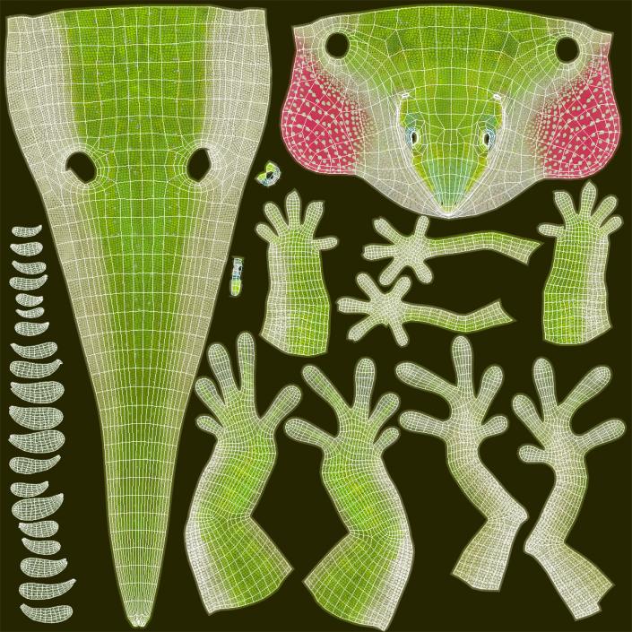 3D Carolina Anole Lizard