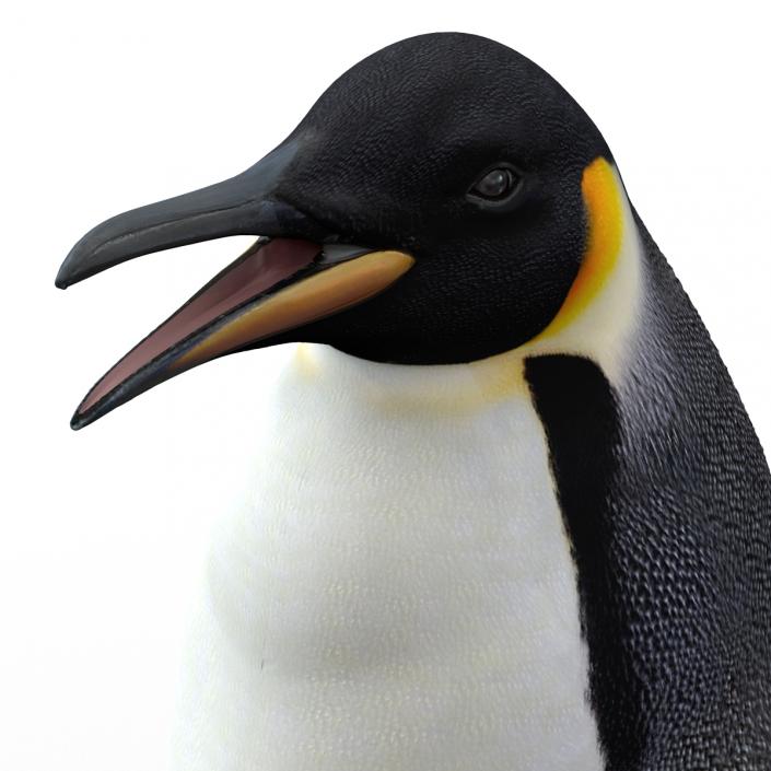 Penguin 3D model