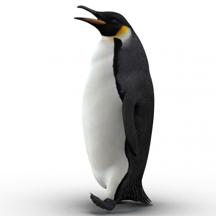 Penguin Pose 2 3D model