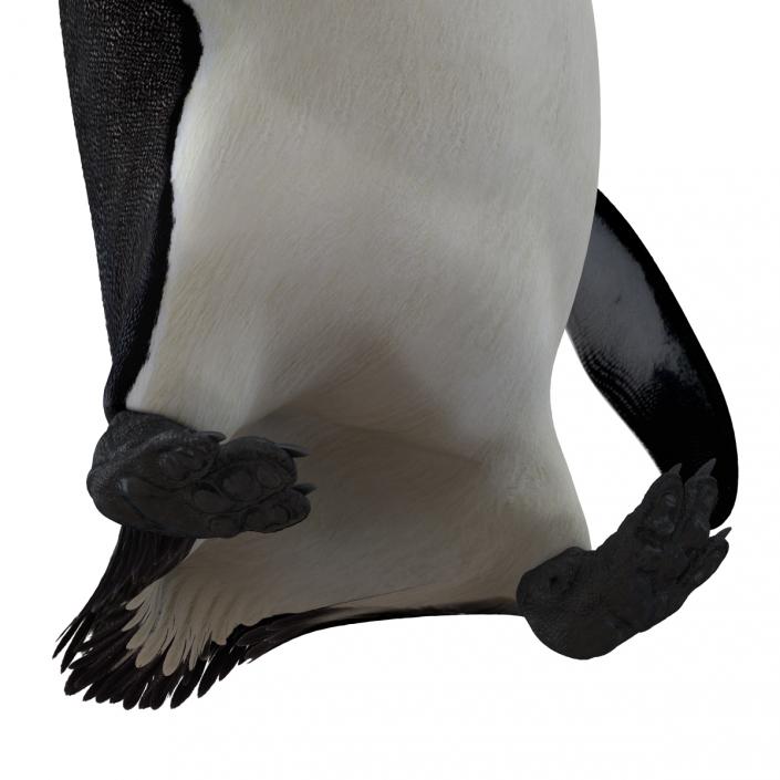 Penguin Pose 2 3D model