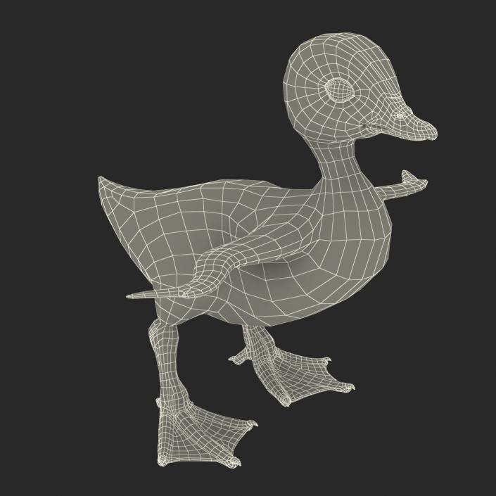 3D model Duckling