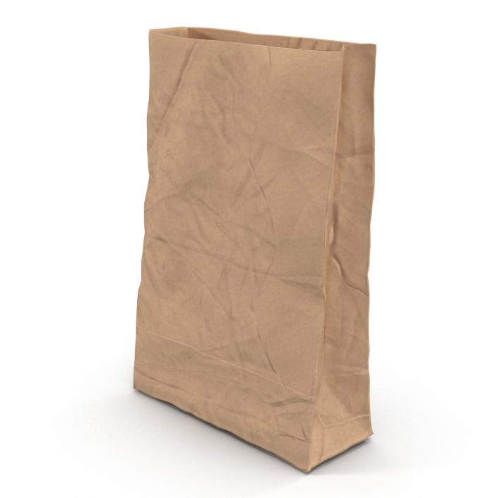 3D Crumpled Fast Food Paper Bag model