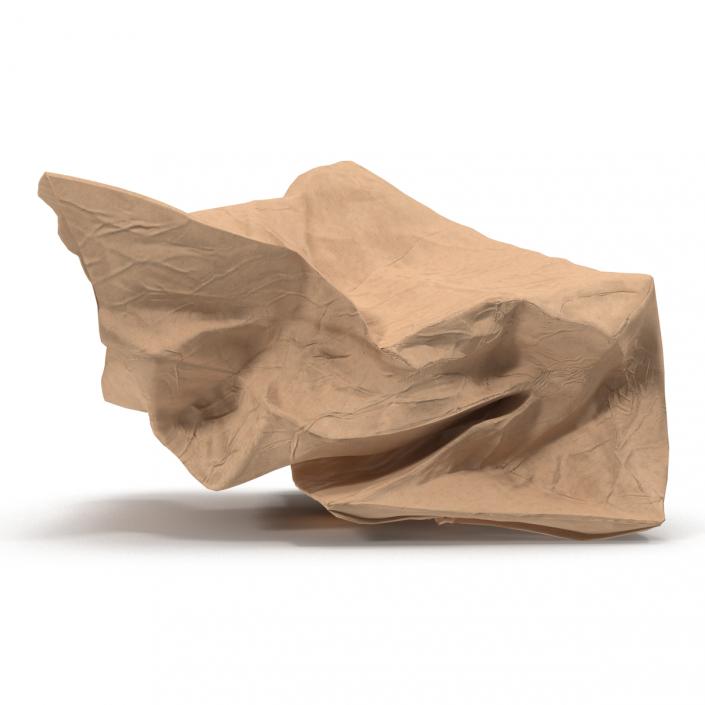 3D model Crumpled Fast Food Paper Bag 2