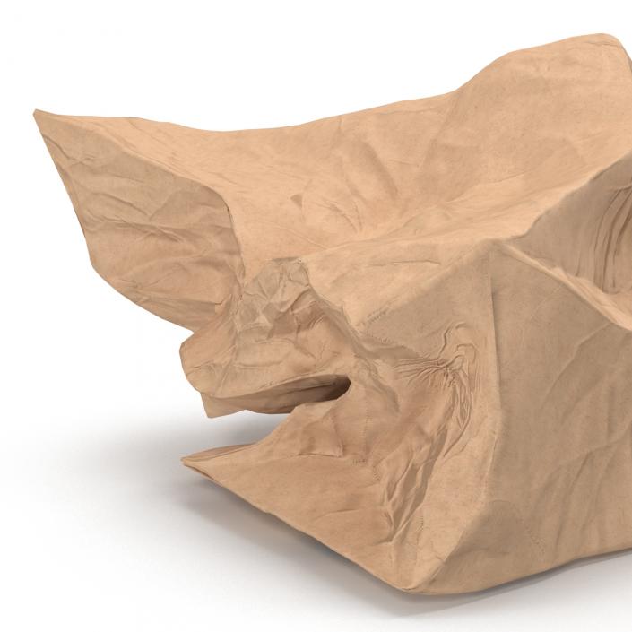 3D model Crumpled Fast Food Paper Bag 2