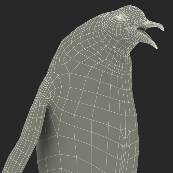 3D Penguin Pose 3 with Fur model