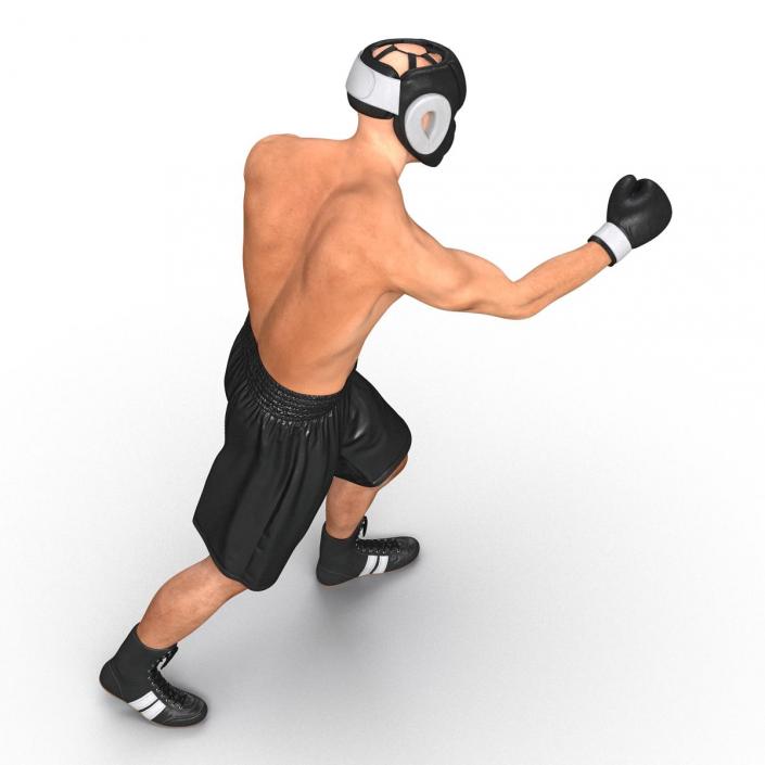 Adult Boxer Man Pose 3 3D