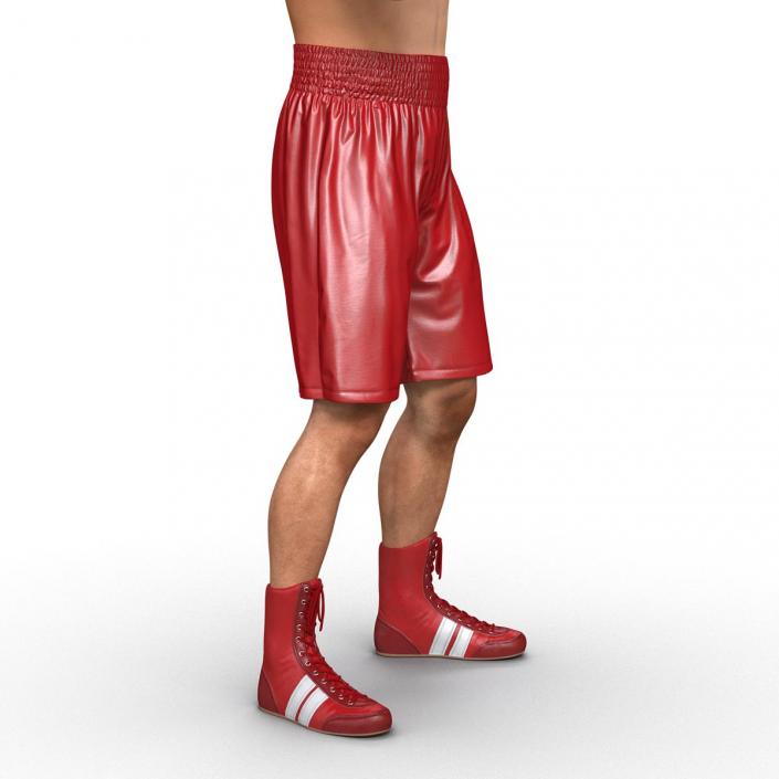 3D Boxer Man Pose 2
