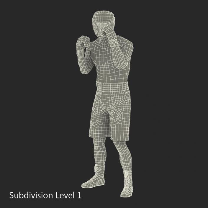 3D Boxer Man Pose 2