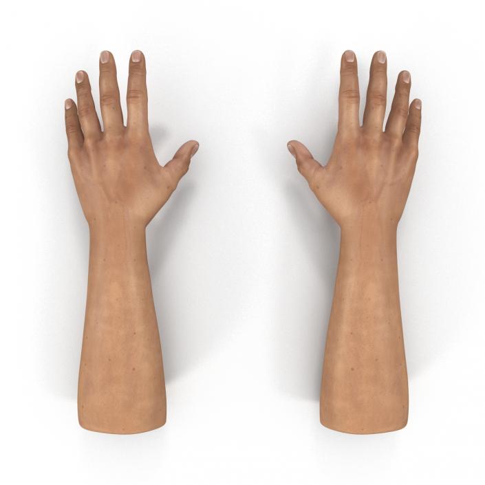 3D Man Hands Rigged