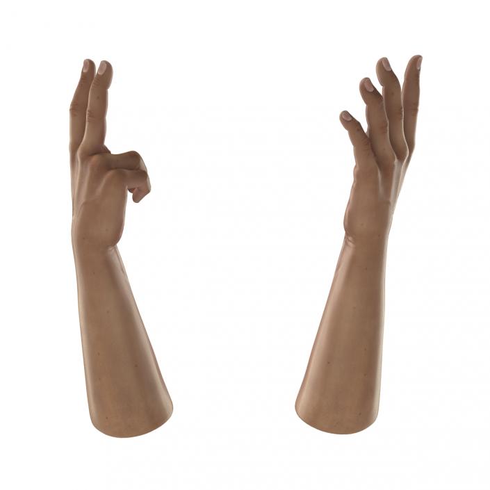 3D Man Hands Rigged