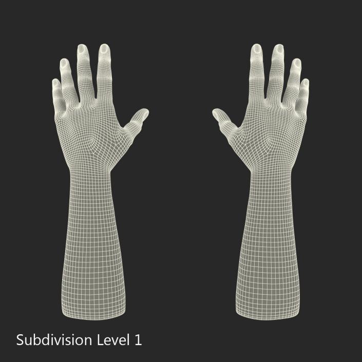 3D model Man Hands with Fur Rigged