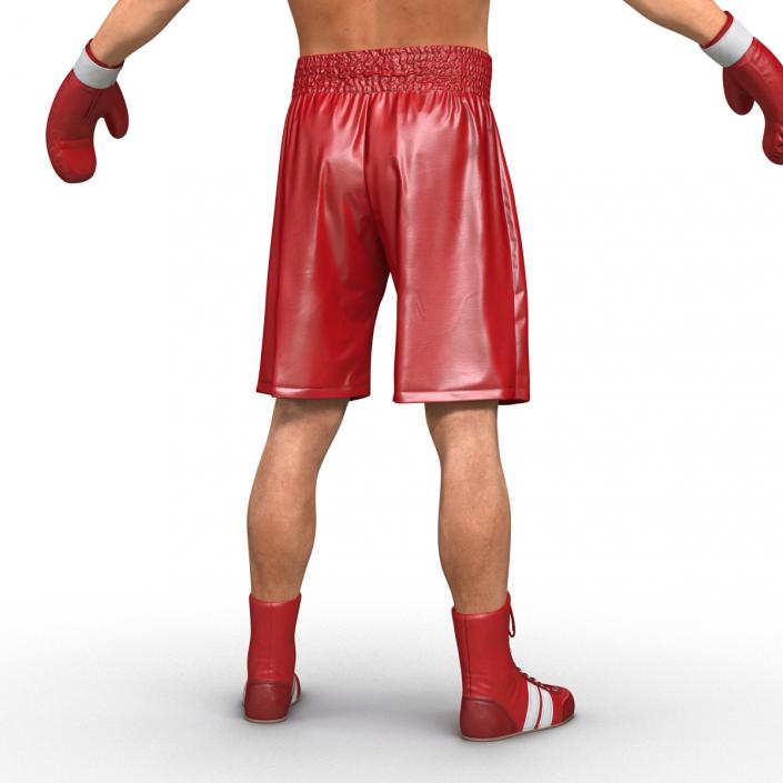 Boxer Man 3D model