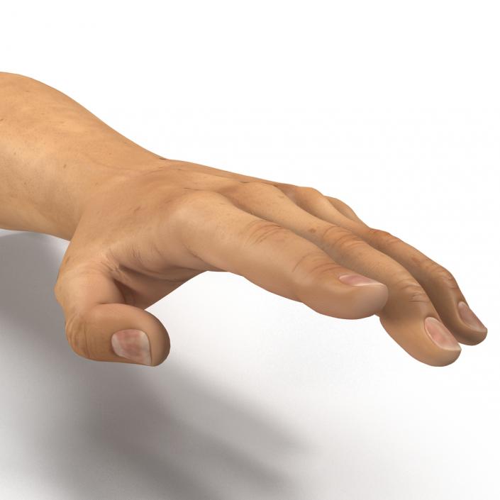 3D Man Hands 2 Rigged model