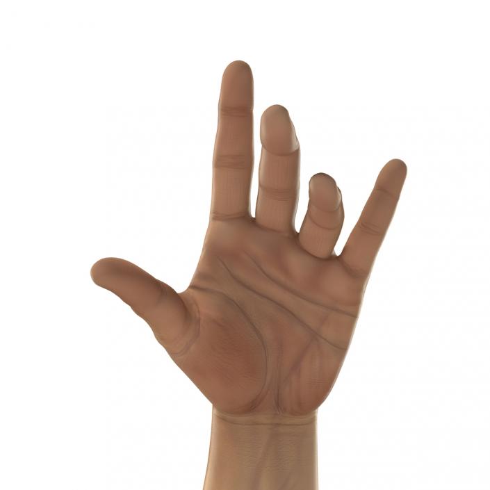 3D Man Hands 2 Rigged model