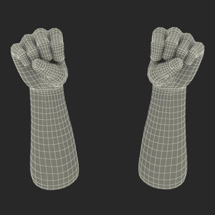 Man Hands 2 with Fur Rigged 3D