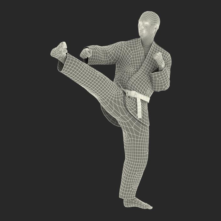 3D model Japanese Karate Fighter Pose 2