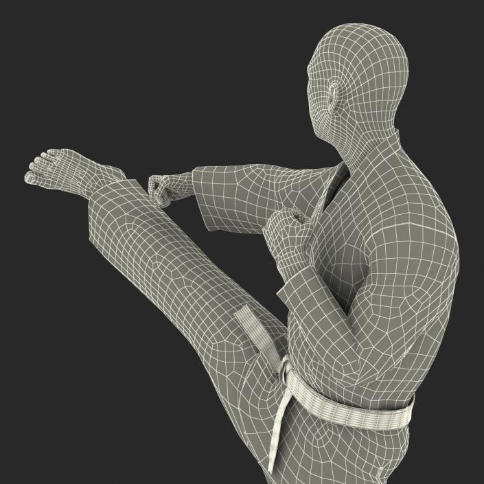 3D model Japanese Karate Fighter Pose 2