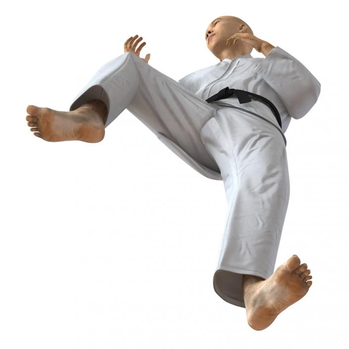 3D model Japanese Karate Fighter Pose 3