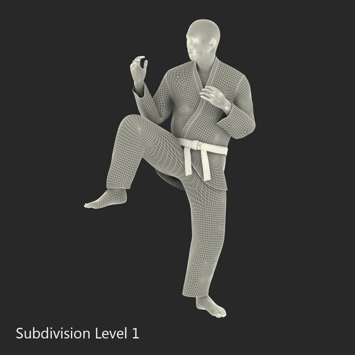 3D model Japanese Karate Fighter Pose 3