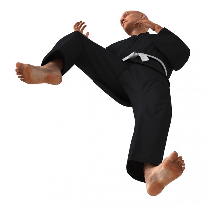 Karate Fighter Black Suit Rigged 3D