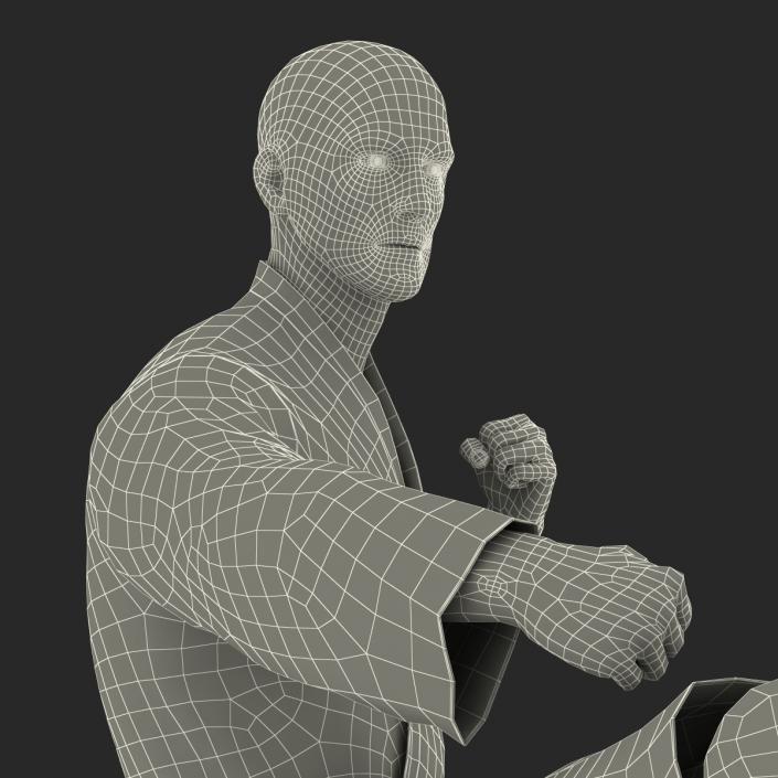 Karate Fighter Black Suit Rigged 3D