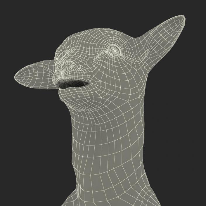 3D model Lamb Pose 4 with Fur