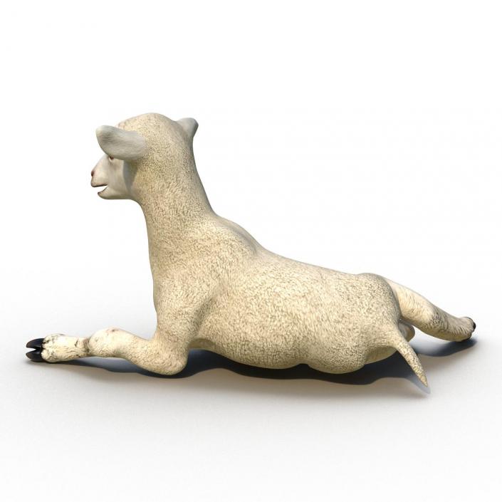 3D Lamb Pose 4