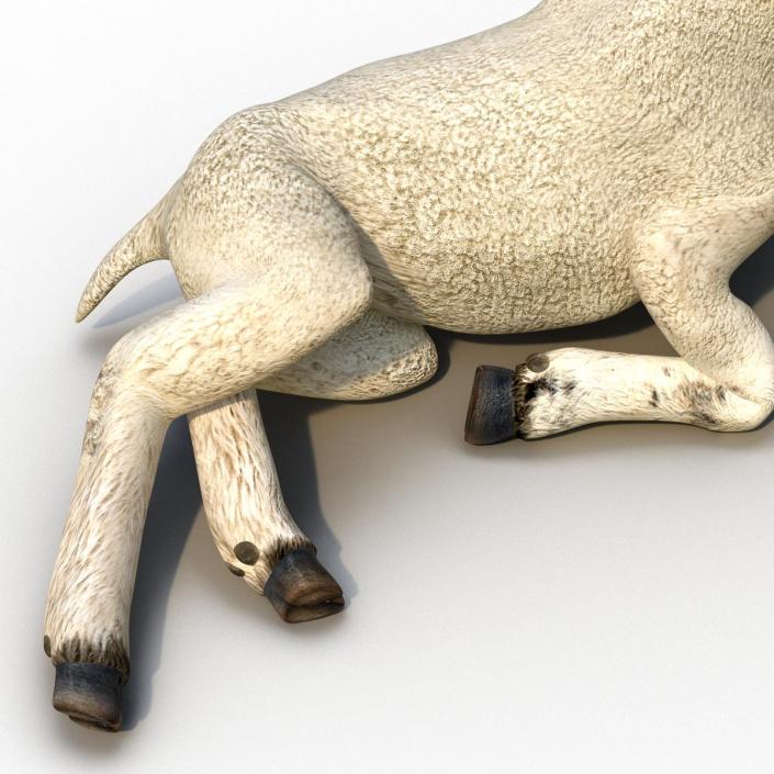 3D Lamb Pose 4