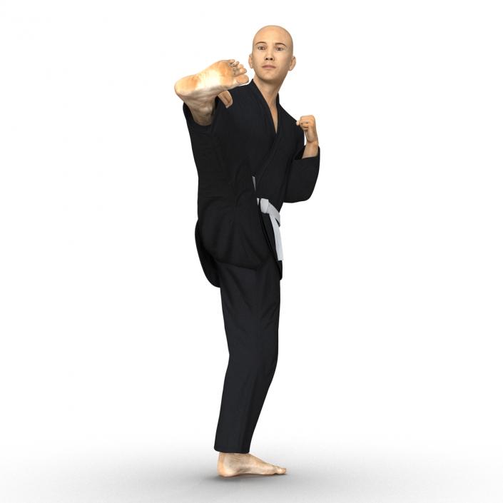 3D Japanese Karate Fighter Black Suit Pose 2