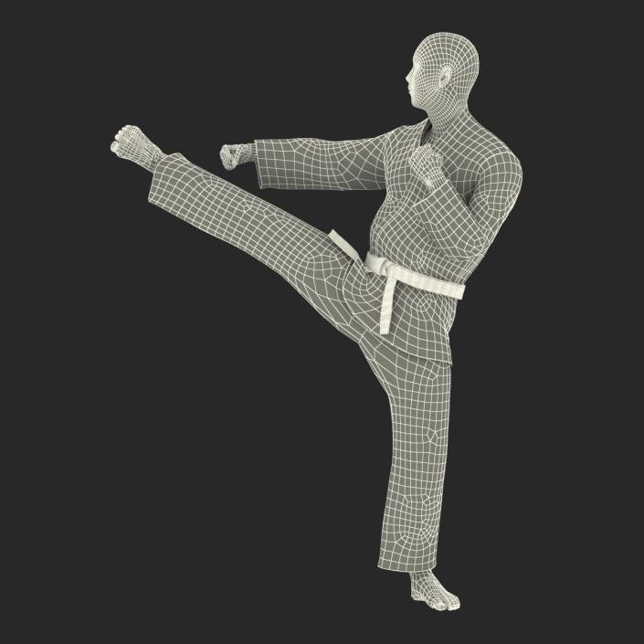3D Japanese Karate Fighter Black Suit Pose 2
