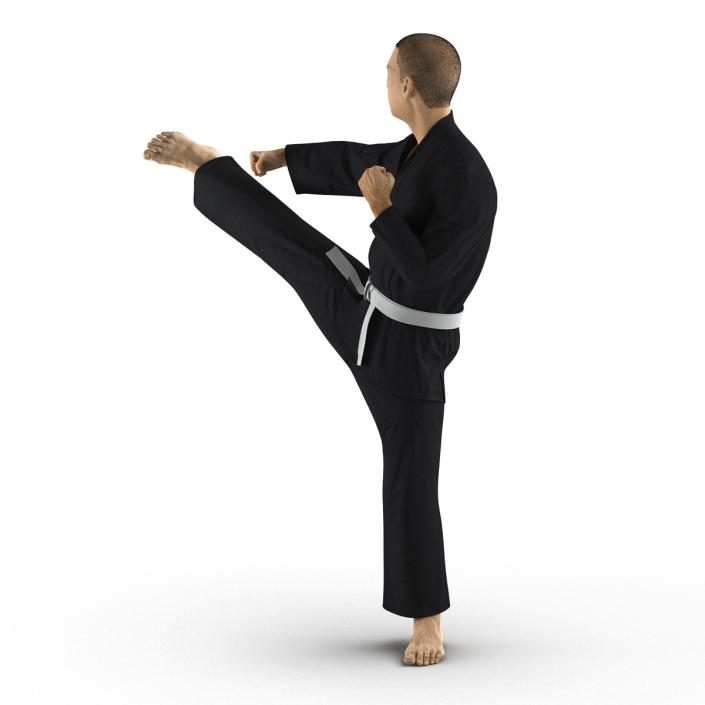 3D model Japanese Karate Fighter Black Suit Pose 2 with Fur