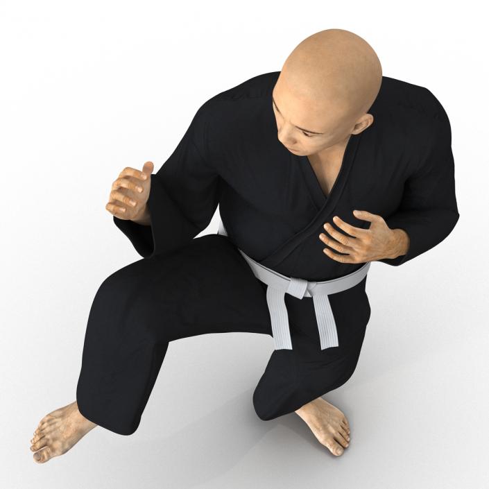 3D Japanese Karate Fighter Black Suit Pose 3