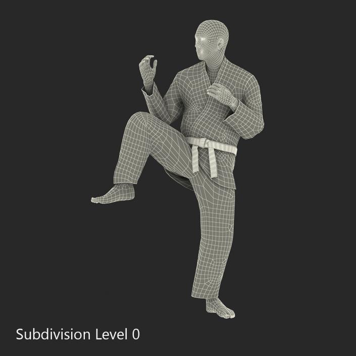 3D Japanese Karate Fighter Black Suit Pose 3