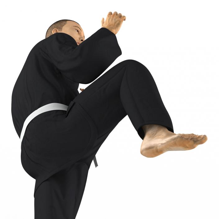 3D model Japanese Karate Fighter Black Suit Pose 3 with Fur