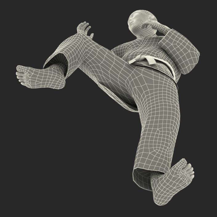 3D model Japanese Karate Fighter Black Suit Pose 3 with Fur