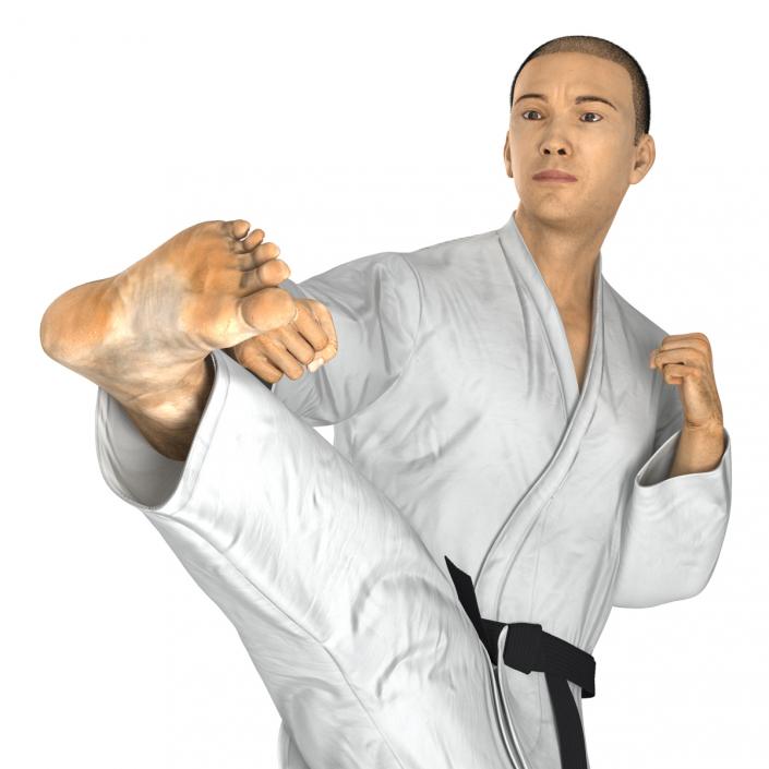 Japanese Karate Fighter Pose 2 with Fur 3D model