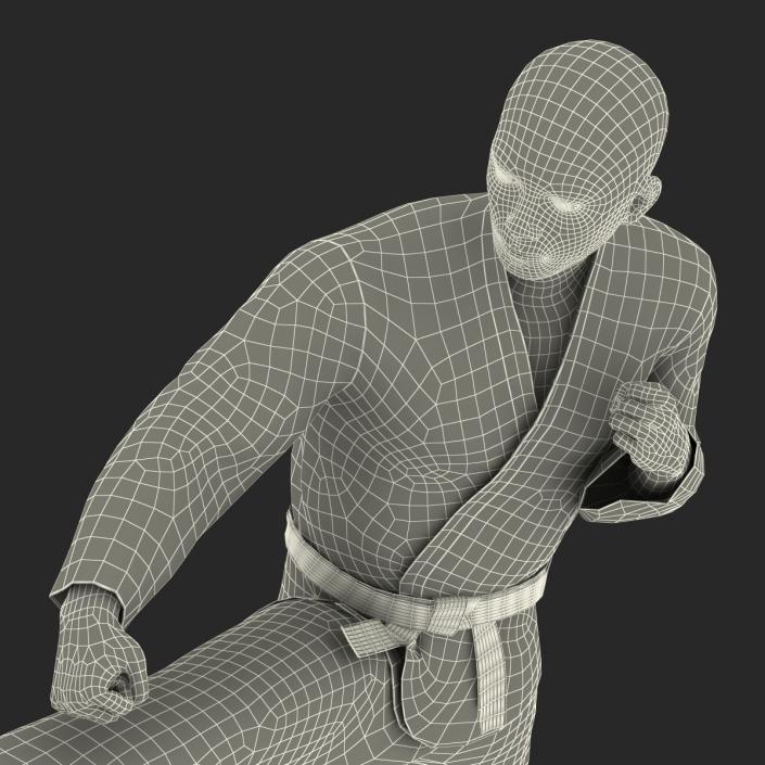 Japanese Karate Fighter Pose 2 with Fur 3D model