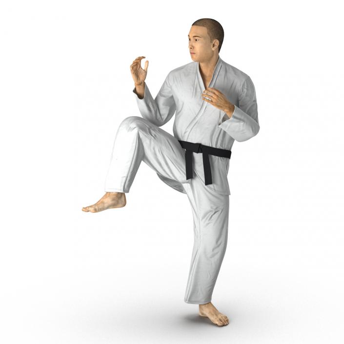 Japanese Karate Fighter Pose 3 with Fur 3D model