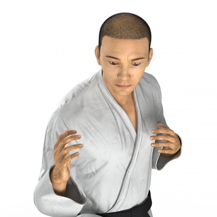 Japanese Karate Fighter Pose 3 with Fur 3D model
